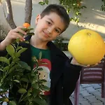 Elis Szálloda 3*