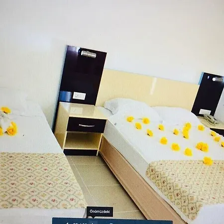 Elis 3* سيدي
