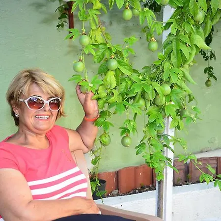 Elis Готель Сіде