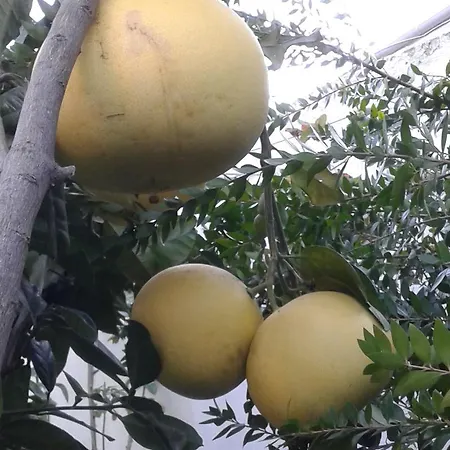 Готель Elis 3*