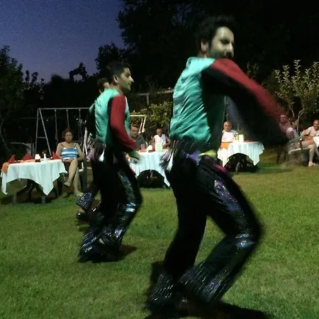 Elis فندق سيدي