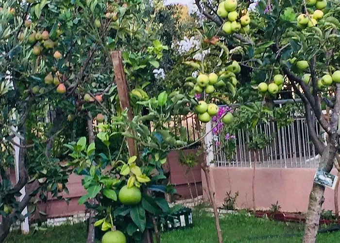 Elis מלון סייד